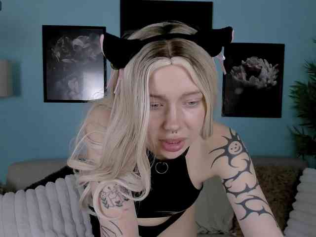 DragonFlya webcam