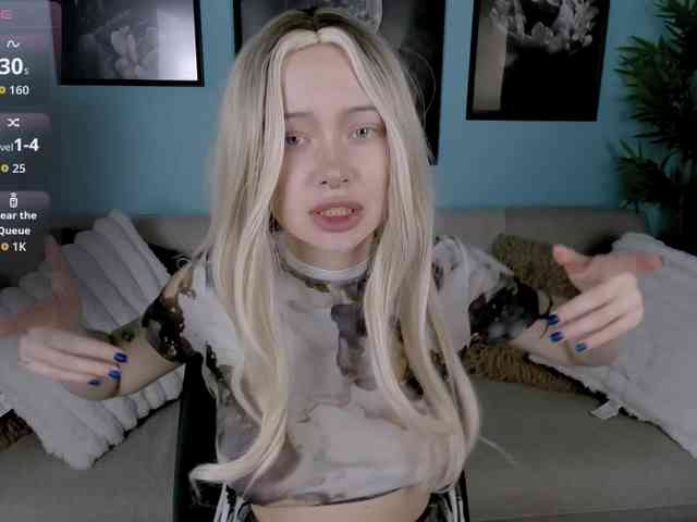 DragonFlya webcam