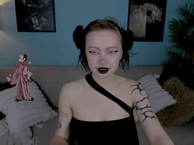 DragonFlya webcam