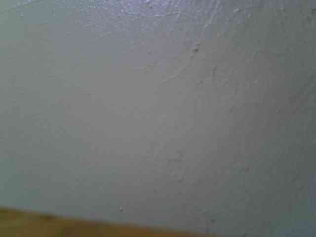 Jollyjoe2 webcam