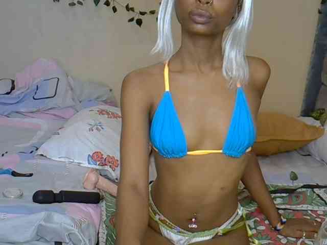 PetiteAlexa webcam
