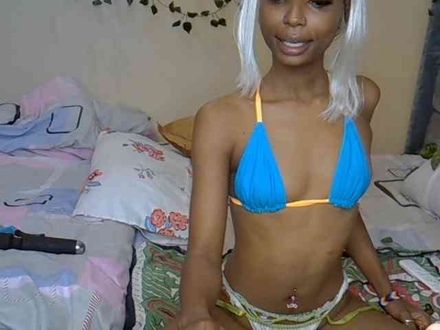 PetiteAlexa webcam