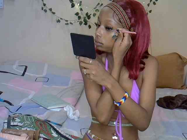 PetiteAlexa webcam