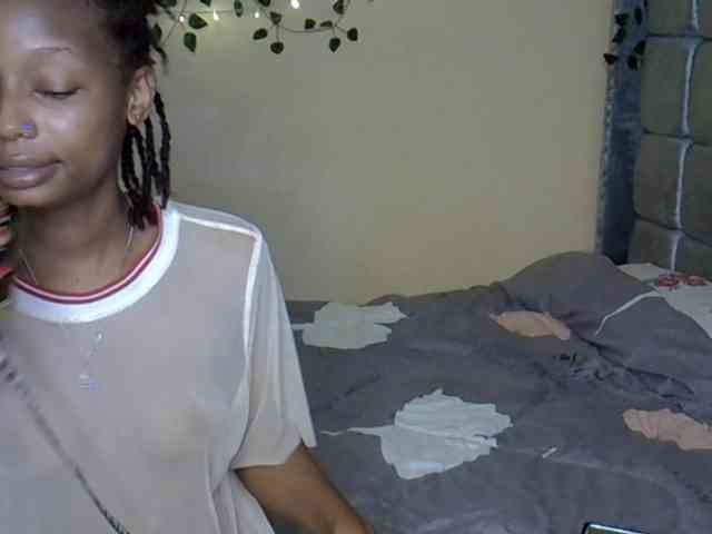 PetiteAlexa webcam