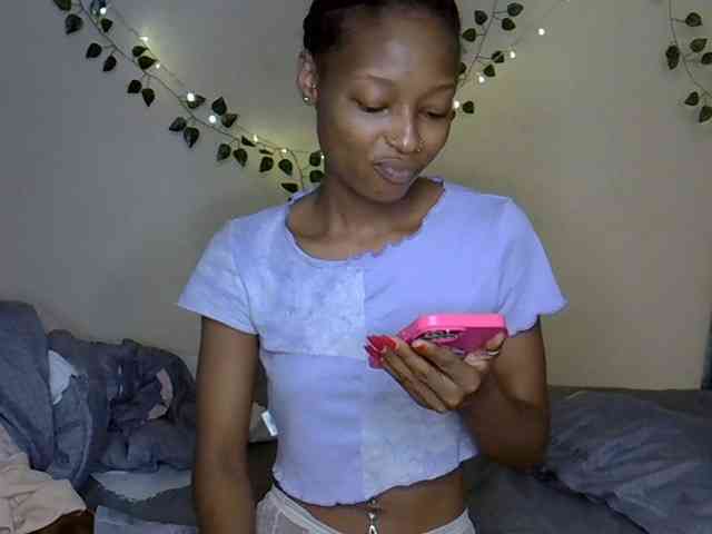 PetiteAlexa webcam