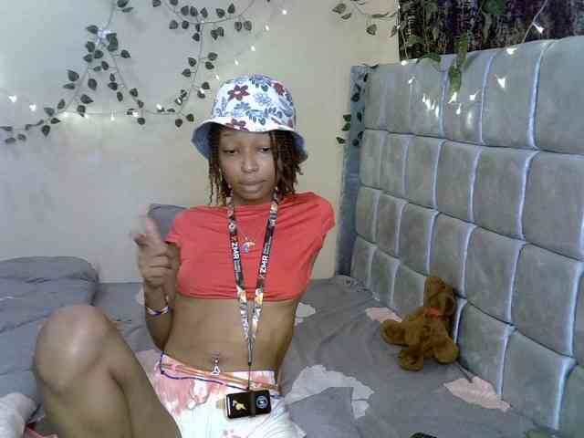PetiteAlexa webcam