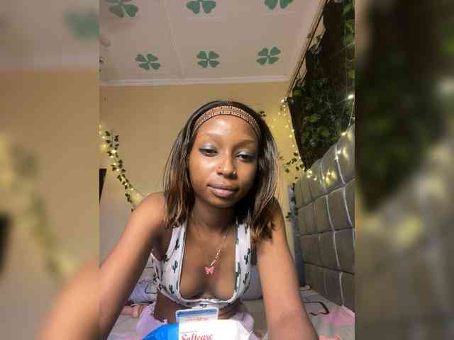 PetiteAlexa webcam