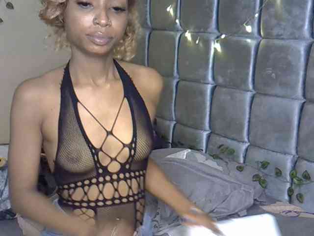 PetiteAlexa webcam