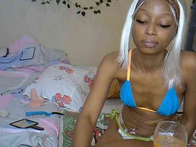 PetiteAlexa webcam