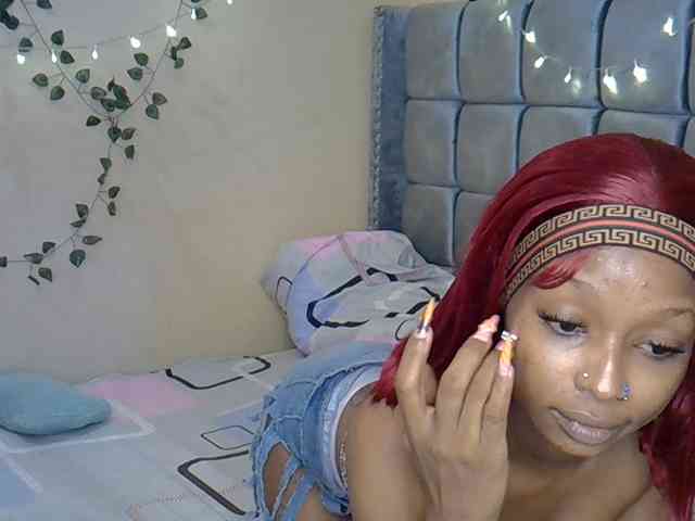 PetiteAlexa webcam