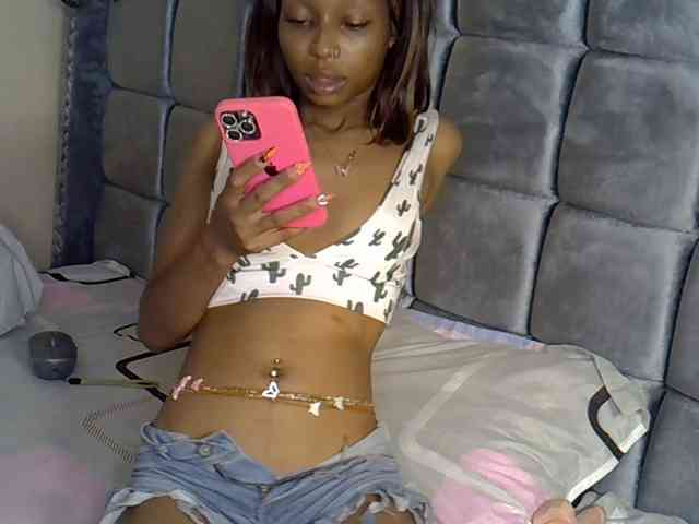 PetiteAlexa webcam