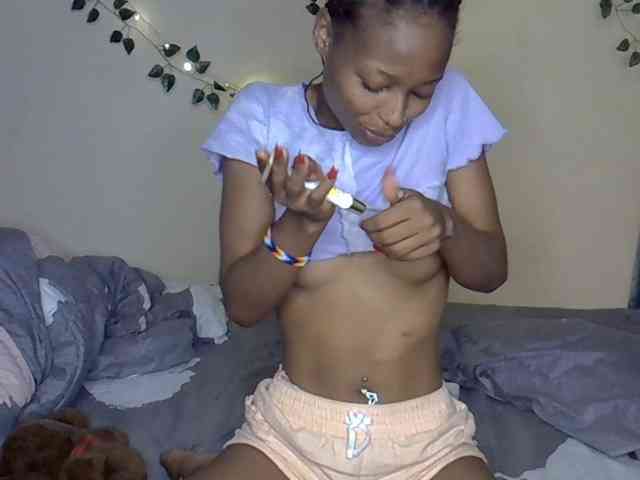 PetiteAlexa webcam