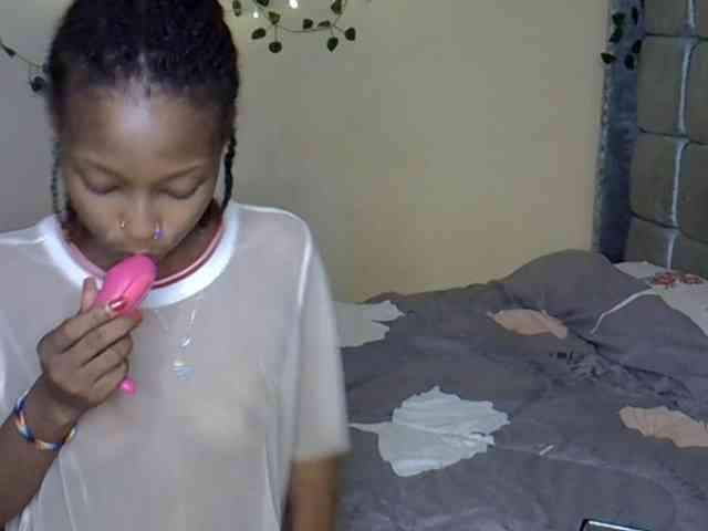 PetiteAlexa webcam