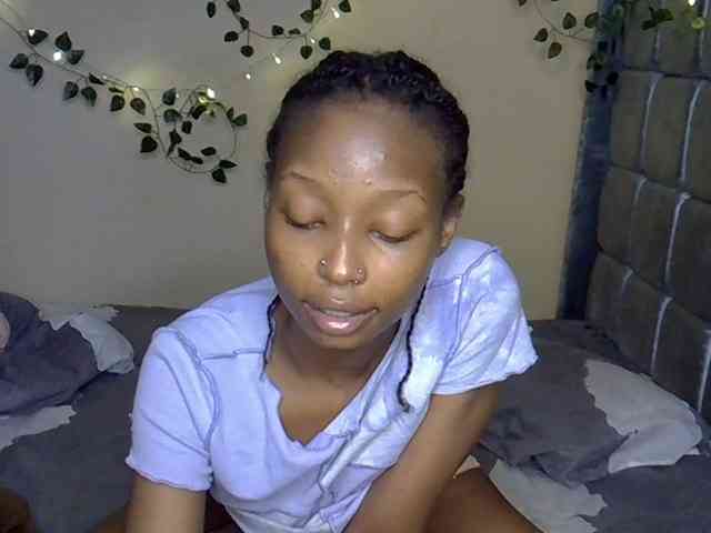 PetiteAlexa webcam