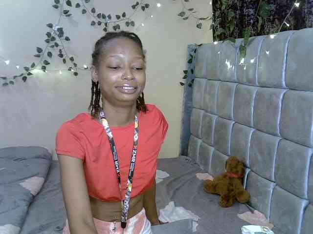 PetiteAlexa webcam