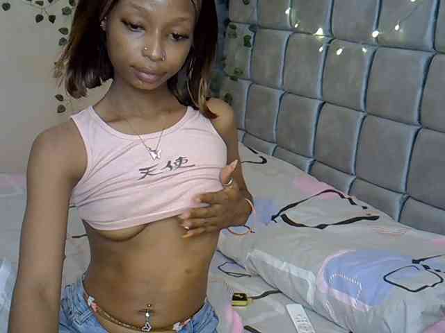 PetiteAlexa webcam