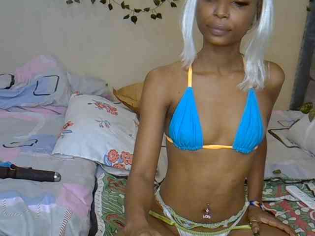 PetiteAlexa webcam