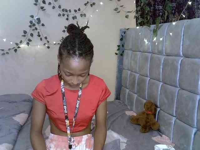 PetiteAlexa webcam