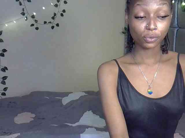PetiteAlexa webcam