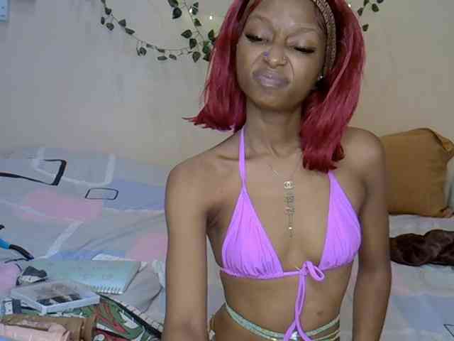 PetiteAlexa webcam