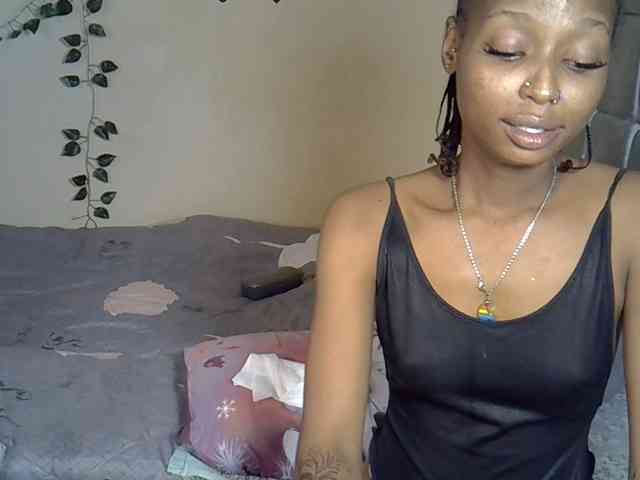 PetiteAlexa webcam