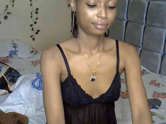 PetiteAlexa webcam