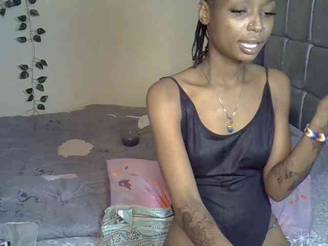 PetiteAlexa webcam