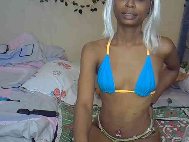 PetiteAlexa webcam