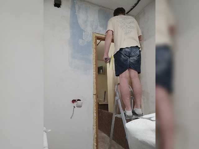 Tiler-cat
