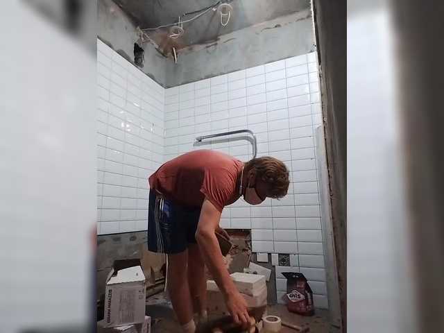 Tiler-cat
