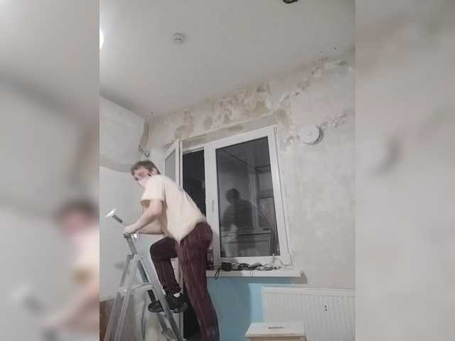 Tiler-cat