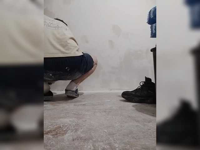 Tiler-cat