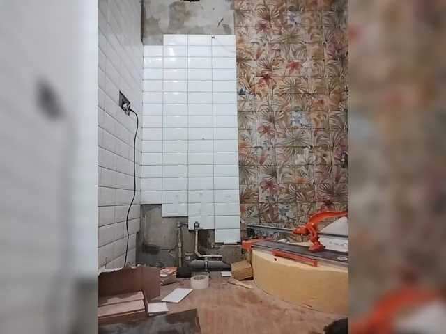 Tiler-cat live webcam show