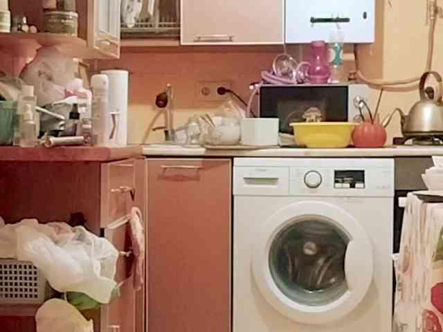 Tiler-cat