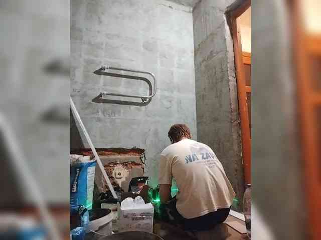 Tiler-cat