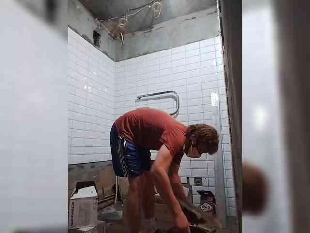Tiler-cat