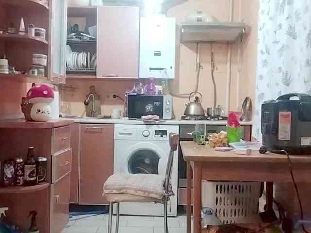Tiler-cat