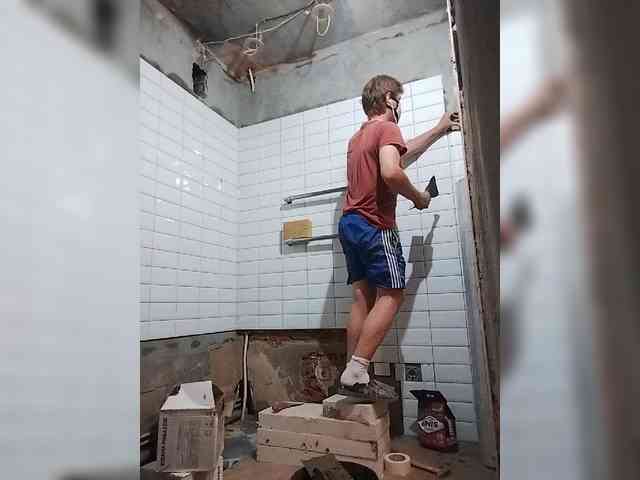 Tiler-cat