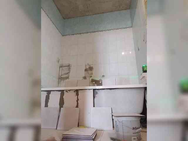Tiler-cat