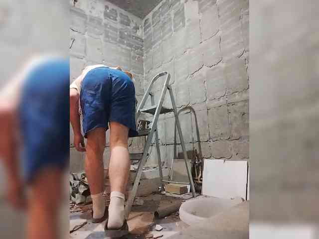 Tiler-cat