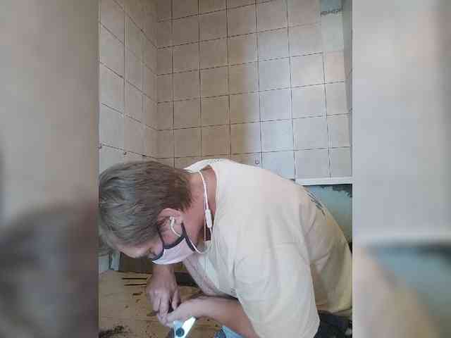 Tiler-cat