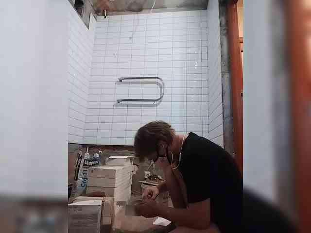 Tiler-cat Tiler-cat