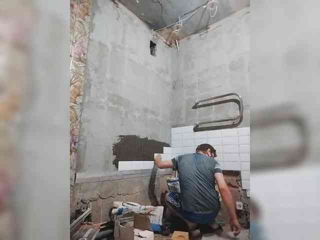 Tiler-cat