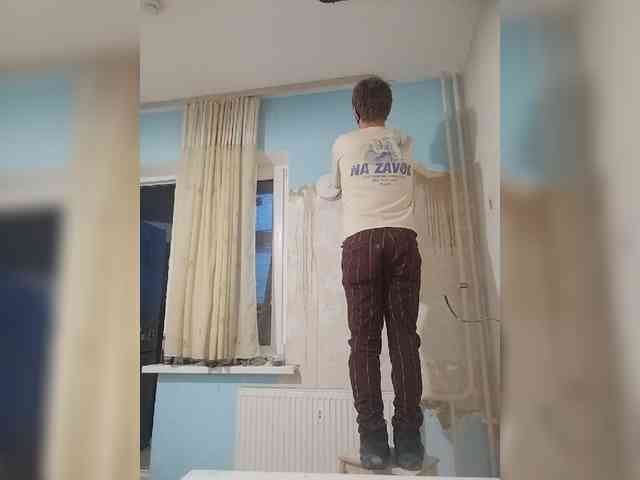 Tiler-cat