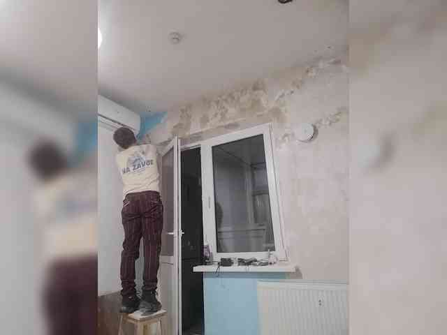 Tiler-cat