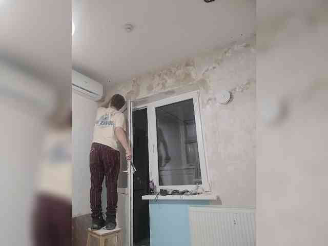 Tiler-cat