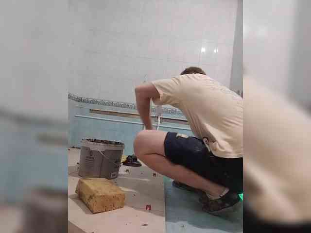 Tiler-cat