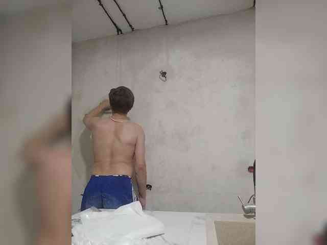 Tiler-cat