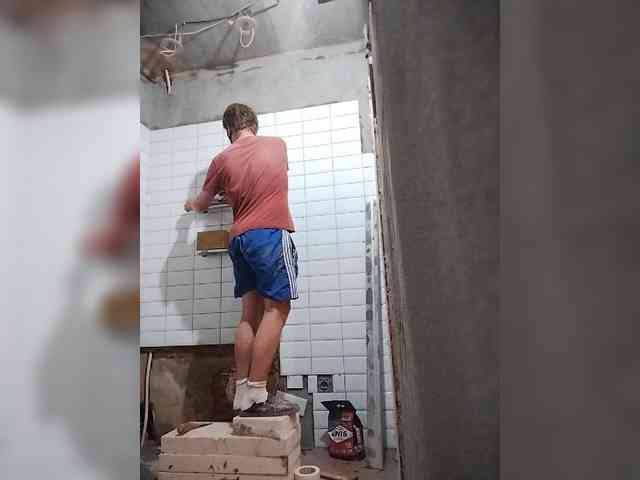 Tiler-cat