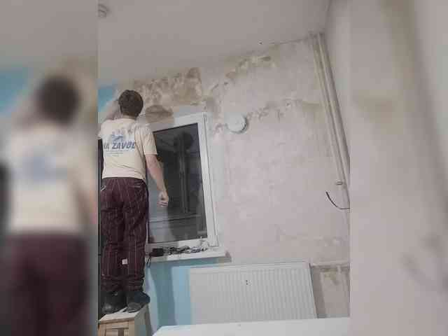 Tiler-cat